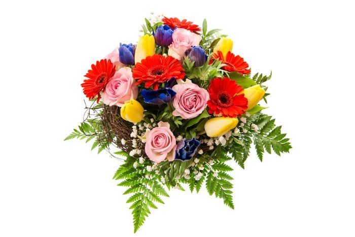 closeup of colorful spring flowers bouquet isolated on white background. pink roses, red gerbera, yellow tulips, blue anemone