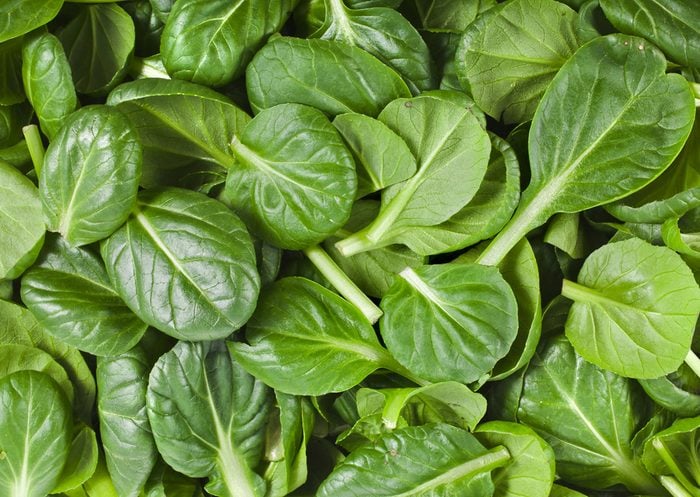 fresh green leaves spinach or pak choi