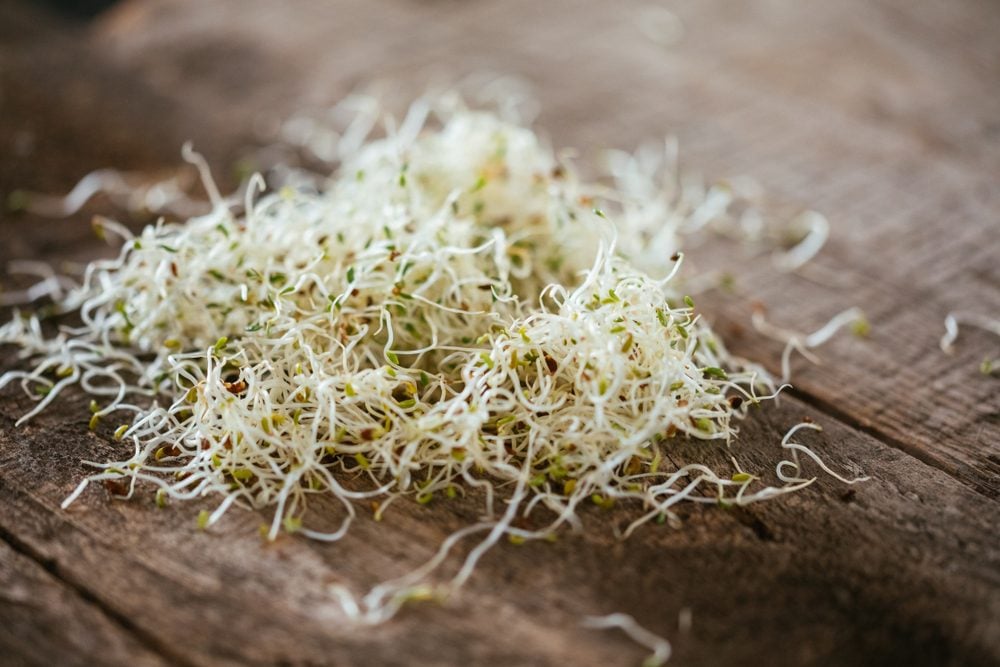 Fresh Alfalfa Sprouts On A Wooded Table