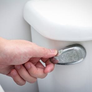 hand flush toilet