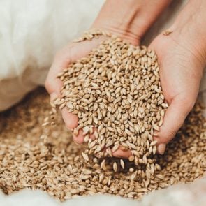 Wheat grains in hands