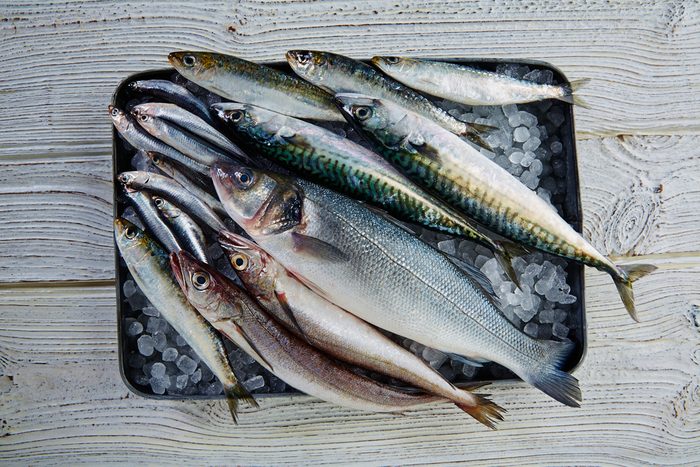 Fresh fishes mix hake sea bass sardine mackerel anchovies