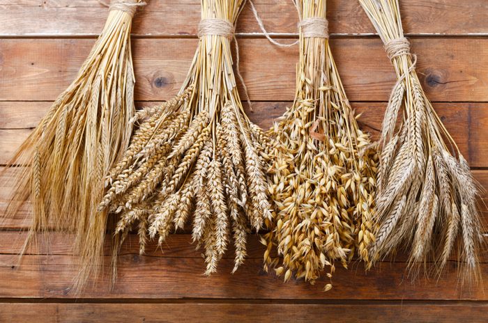 ears of wheat, rye, barley and oats 