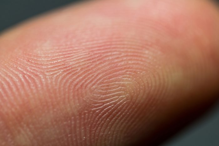 Closeup macro image of human fingerprint on a index finger as identification