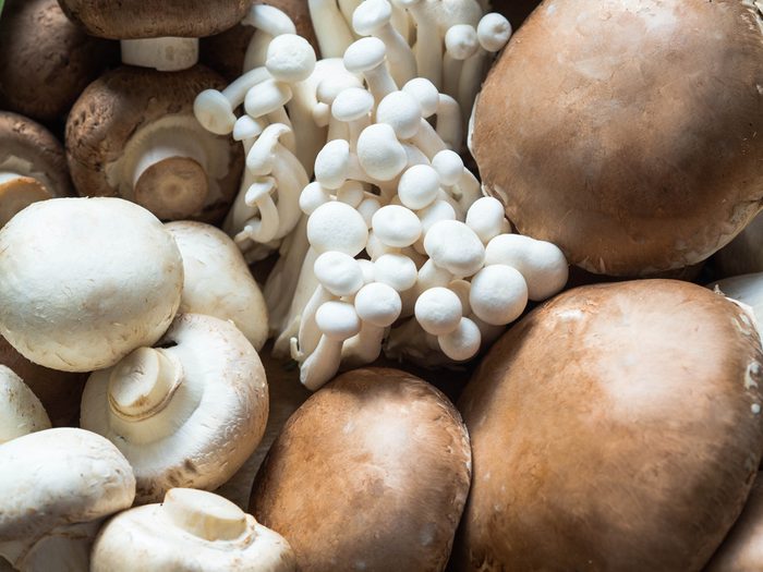 Various raw mushroom types - Portobello mushrooms, champignons, Shimeji mushrooms. Mushrooms background
