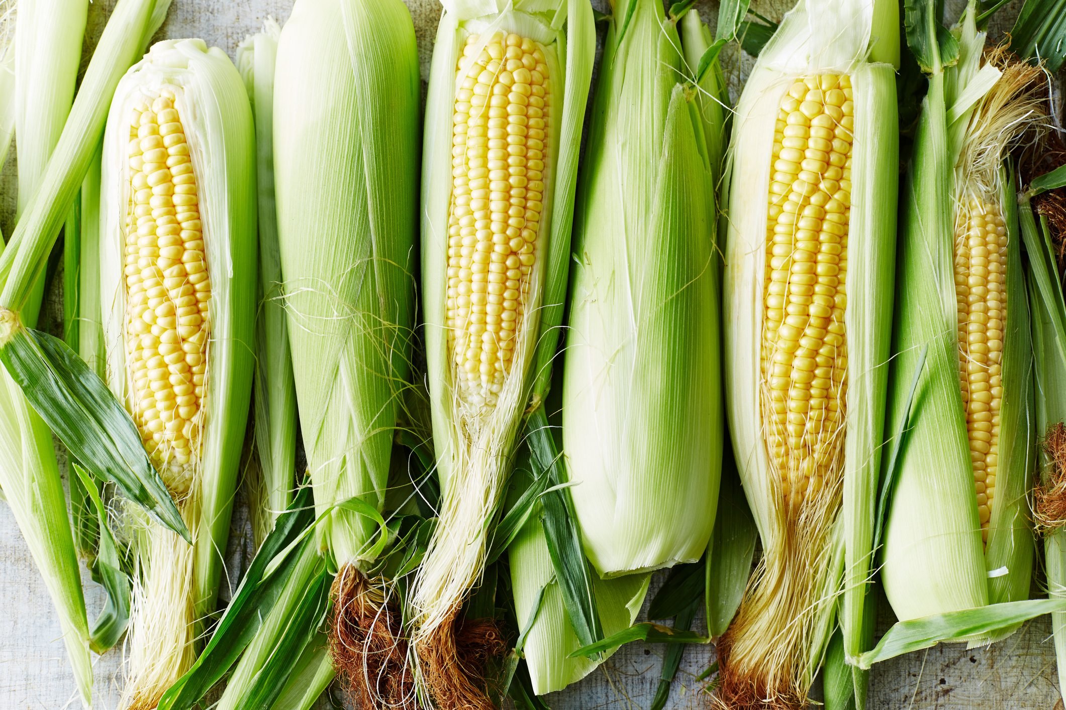 ears of sweet corn on the cob