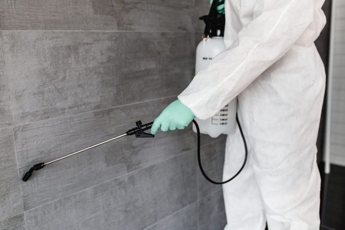 Exterminator in work wear spraying pesticide with sprayer.