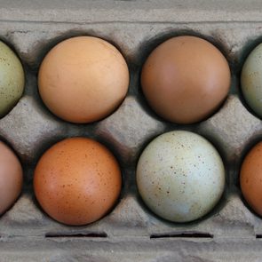 Over head view of colorful farm fresh eggs in carton