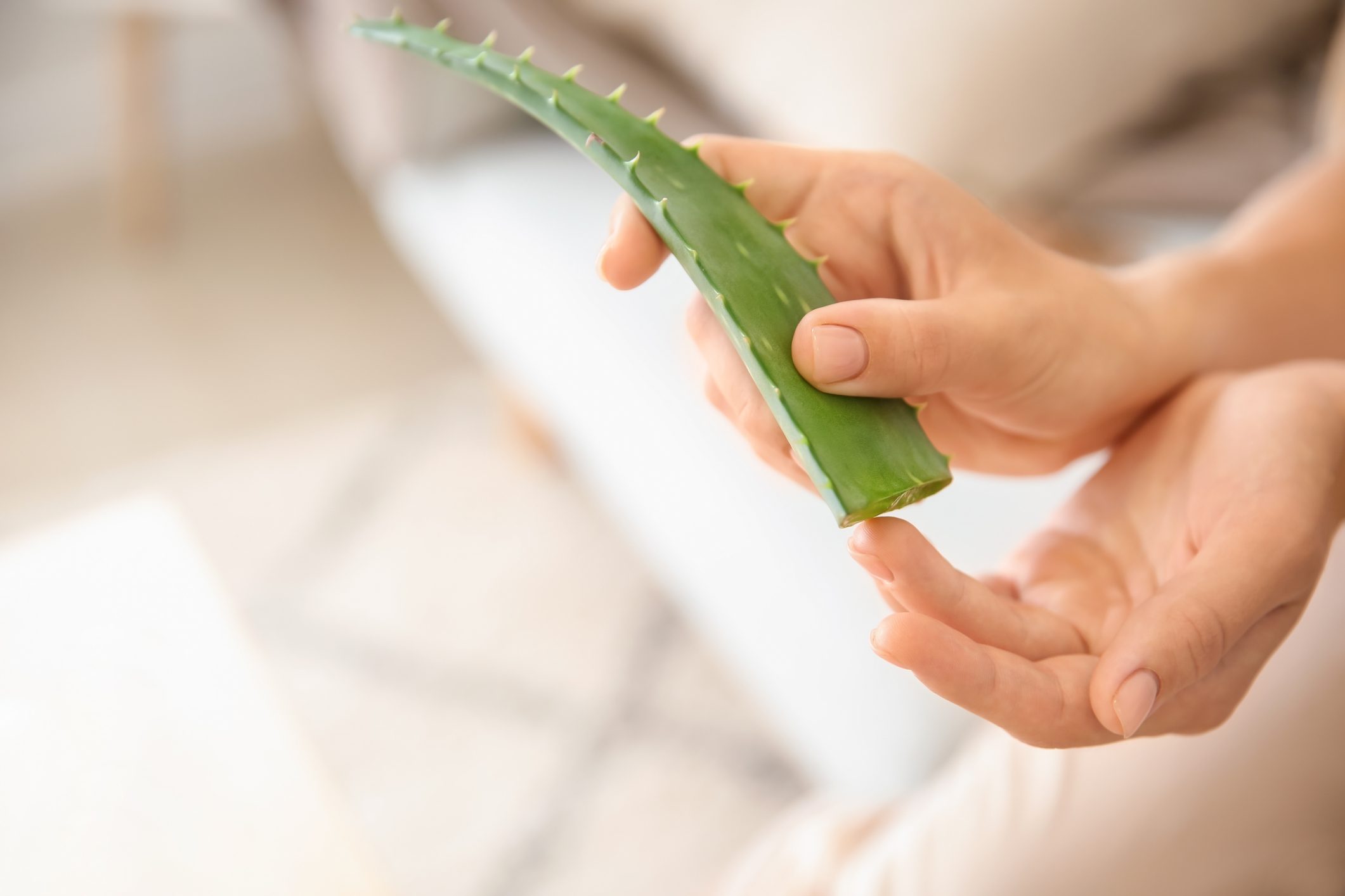 Aloe Vera Uses You Might Not Know | The Healthy