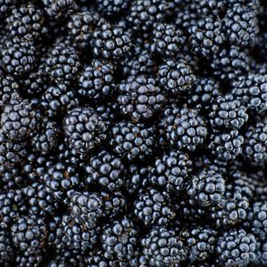 Fresh Ripe Blackberries
