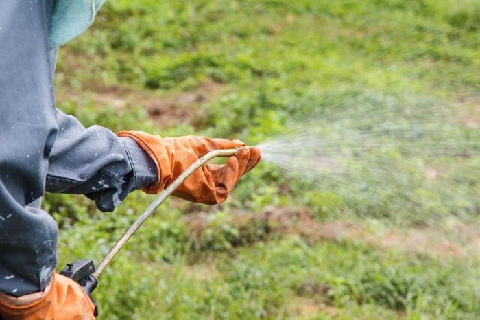 spraying weeds pesticides