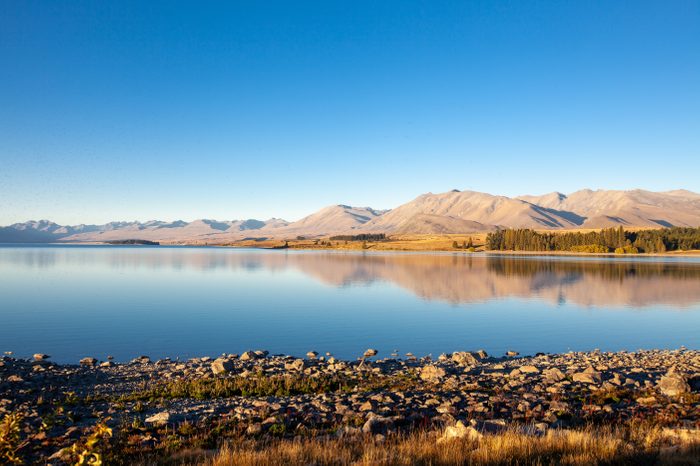 Late afternoon view of Lake Tekapo shoreline just behind the Church of the Good Shepherd. Many sandflies / mosquitoes are visible - an iconic pest around this area.