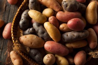 Raw Organic Fingerling Potatoes in a Basket