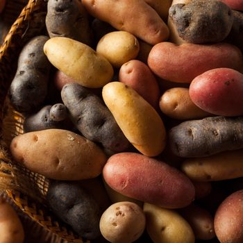 Raw Organic Fingerling Potatoes in a Basket