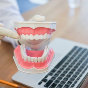 dentist close up of teeth model