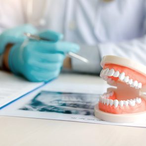 dental teeth model with dentist in the background