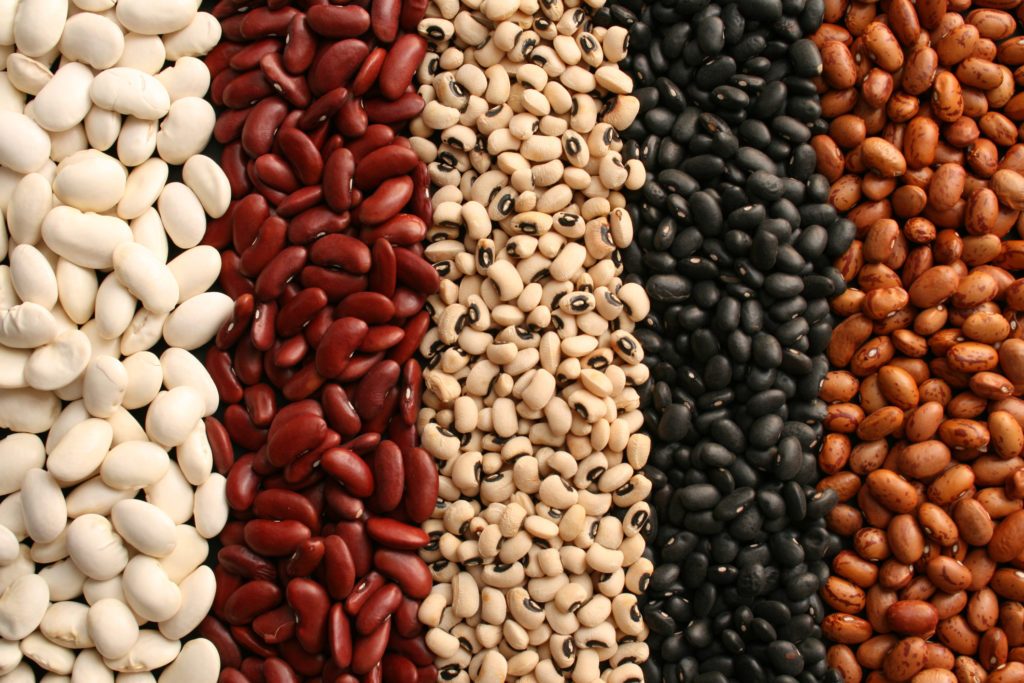 beans types protein bean healthy nutrition