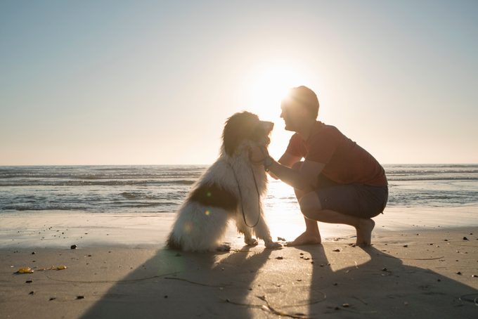 young man petting his dog on the beach at sunset
