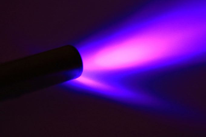 UV black light flashlight