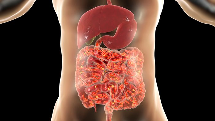 the science of IBS microbiome gut health