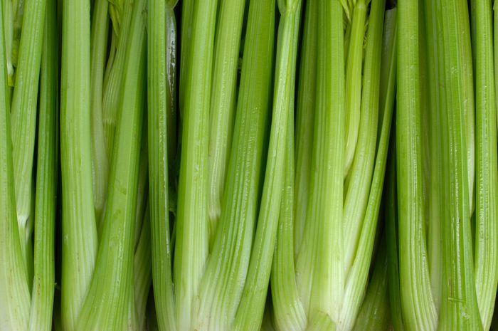 celery full frame