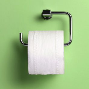 toilet paper holder on green background