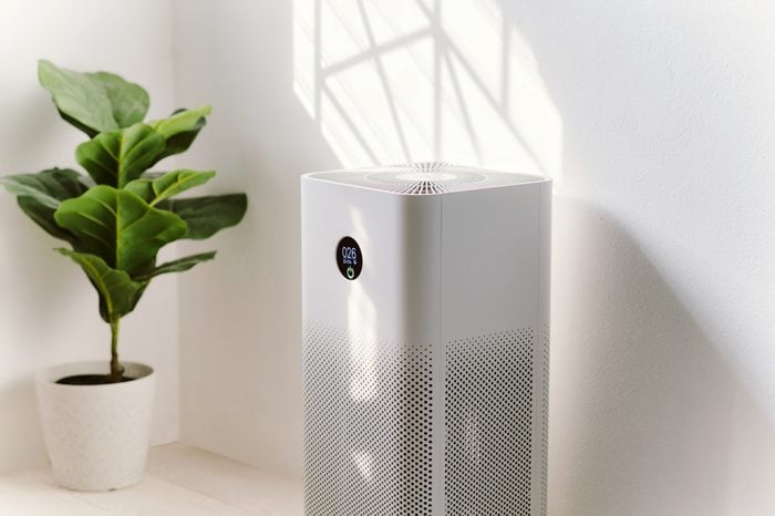 air purifier in home next to house plant
