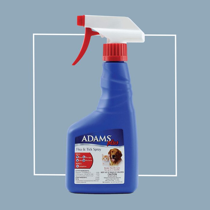 adams flea and tick spray