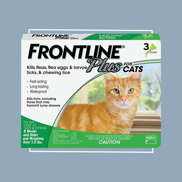 frontline plus for cats