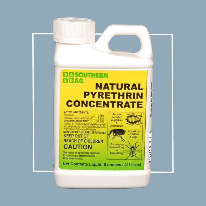 natural pyrethrin concentrate