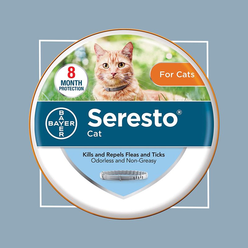 18 Products That Can Help You Get Rid of Fleas The Healthy