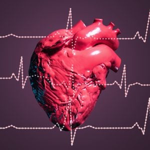 Human heart and pulse traces