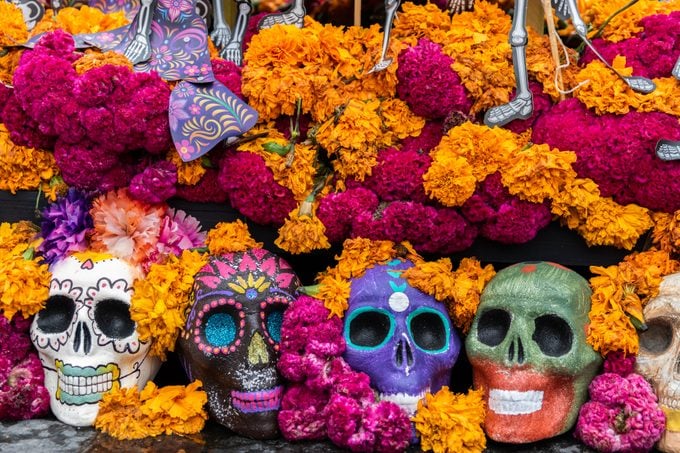 Day of the Dead skulls and flowers