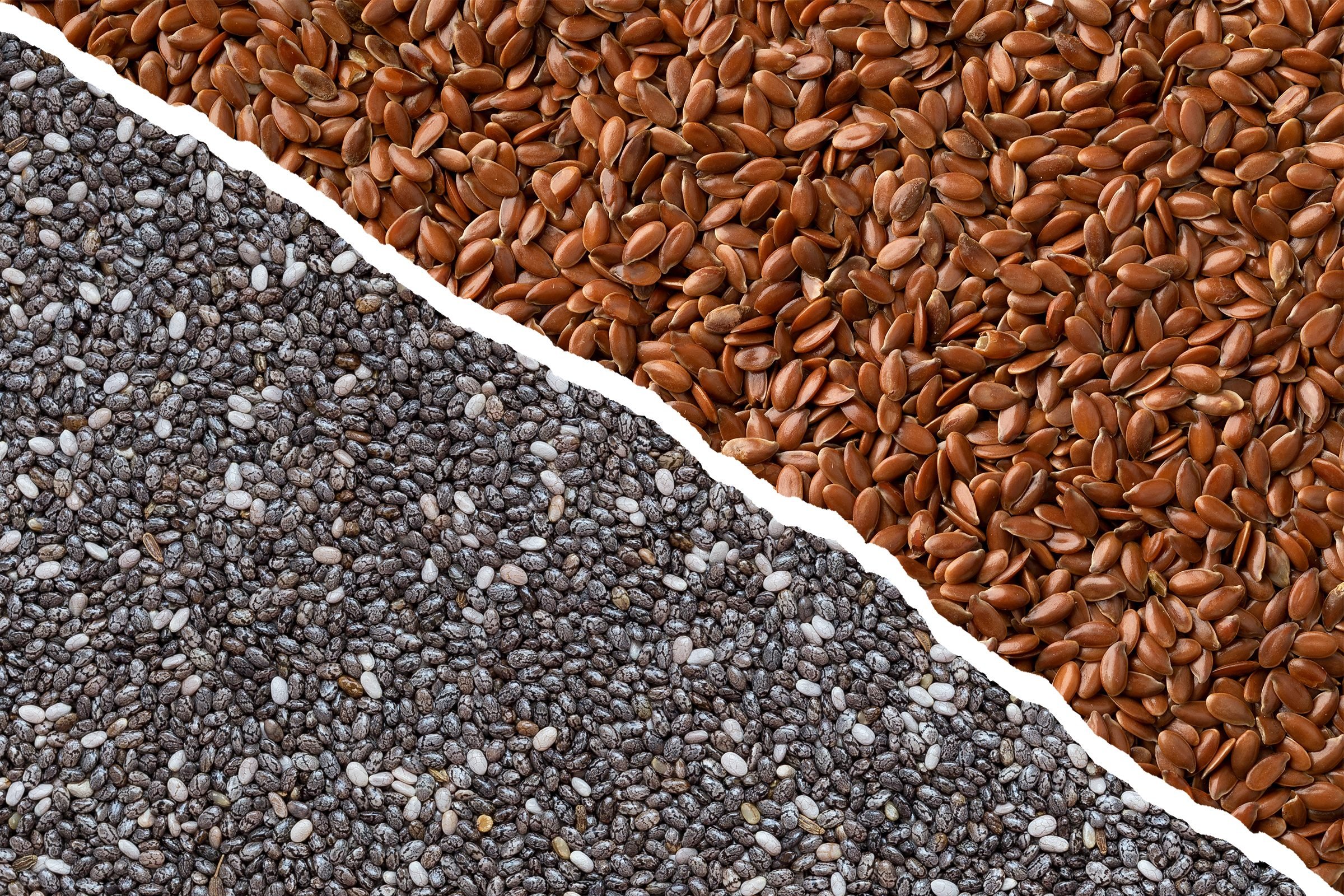 píldora En riesgo Popular Chia Seeds vs. Flaxseeds: What's the Difference? | The Healthy