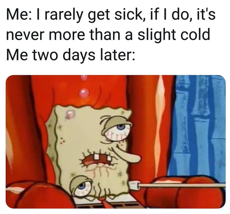 flu meme