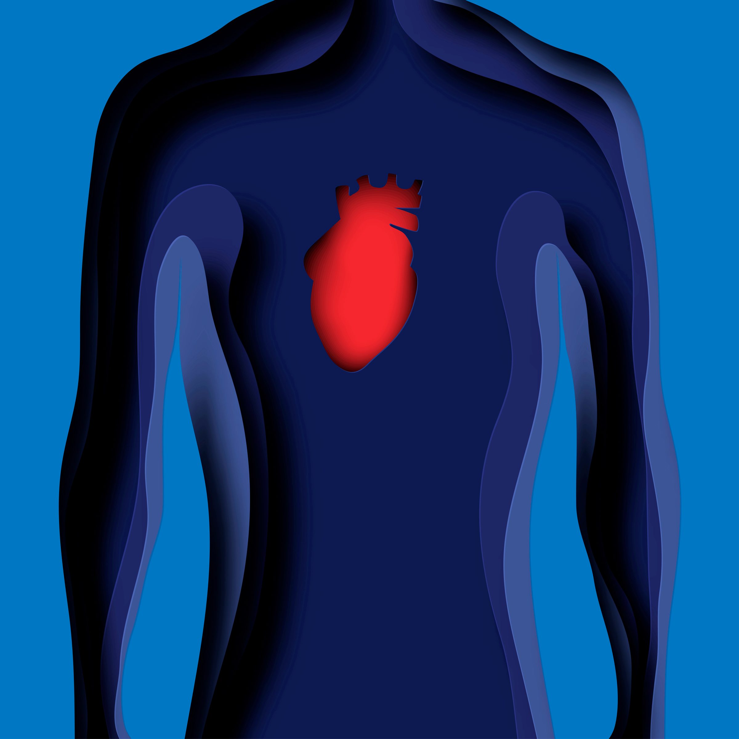 paper illustration of human heart