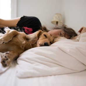 Long haired dachshund sleeping in bed with his human
