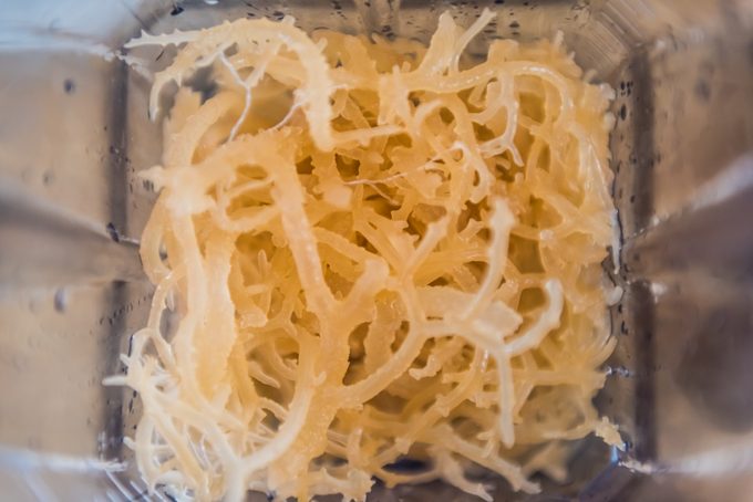 Makro-Nahaufnahme von frischen leichten irischen Moosalgen im Mixer