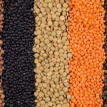 various legumes lentils