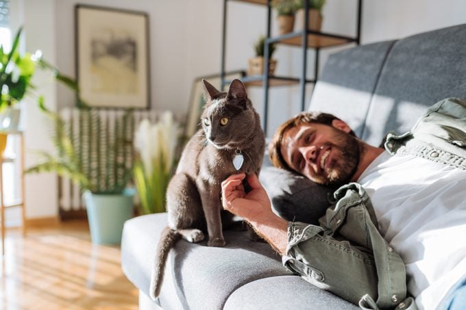 Handsome millennial man cuddling cat with pet collar and heart tag