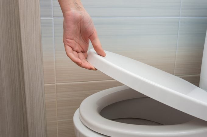 hand closing toilet lid