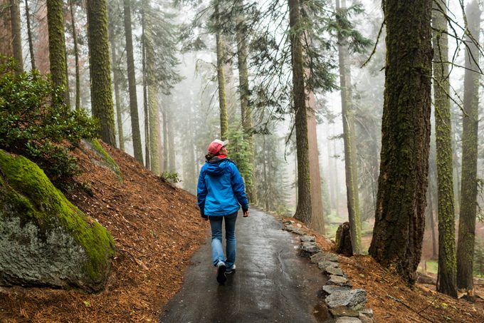 Vrouwelijke wandelaar die 's ochtends geniet van de frisse ochtendwandeling door een mistig nat bos
