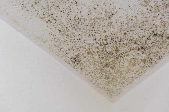 mildew growing on walls and ceiling in home