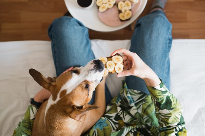 Een broodje pindakaas en bananen delen met een hond, van bovenaf geschoten, persoon en hond zittend op de bank