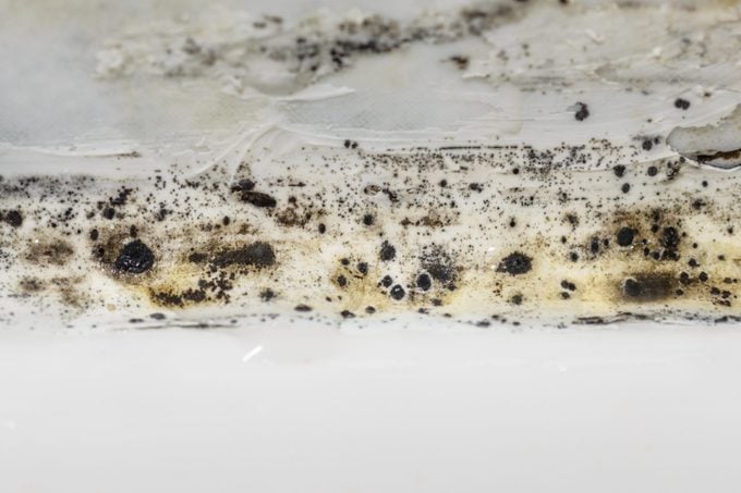 close up of Mold In a Bathroom