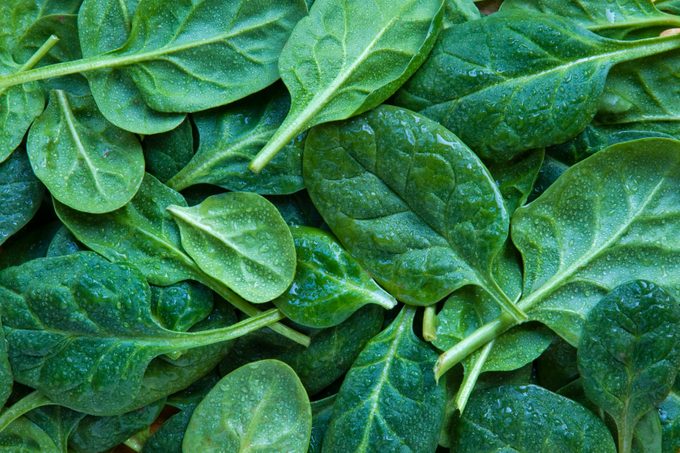 Full frame shot of spinach leaves