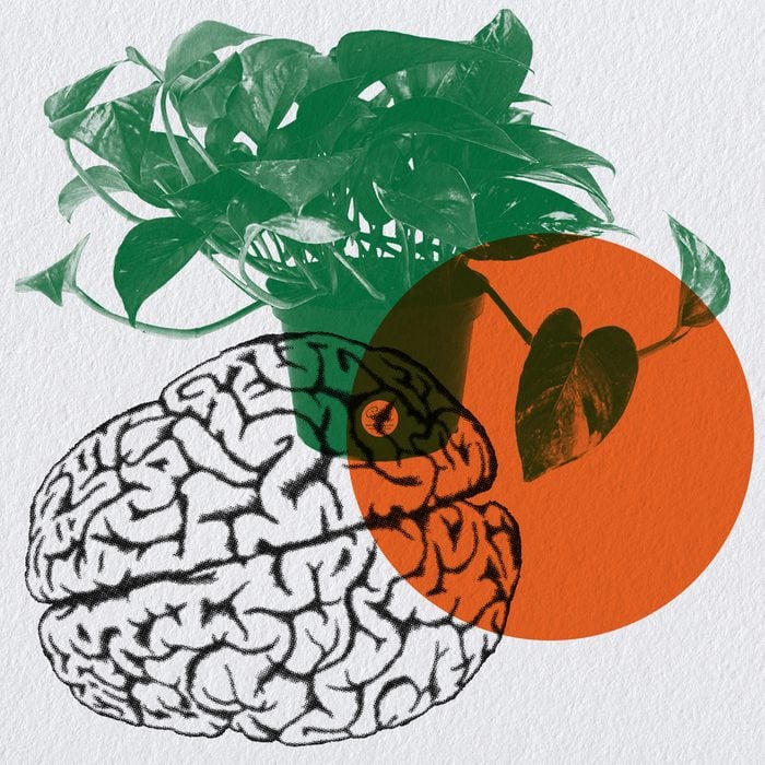 Collage of a brain, pothos plant, and orange circle on paper texture background
