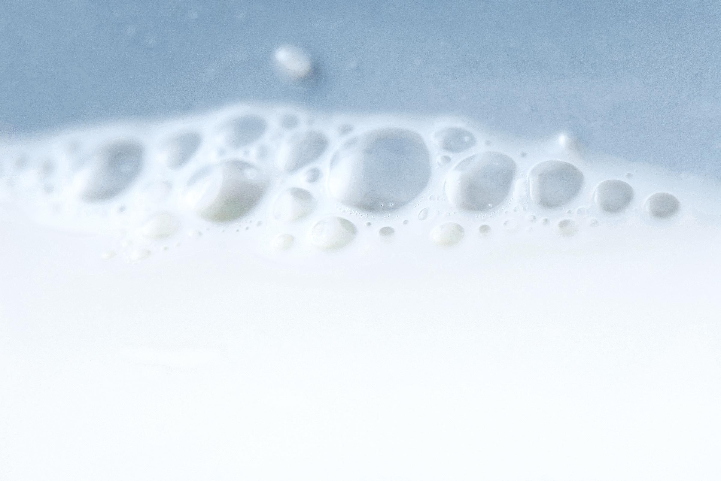 Milk bubbles, extreme close-up|