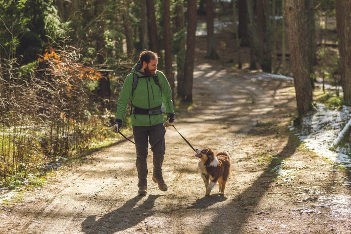 man walks with his Australian shepherd in the woods on a sunny winter day