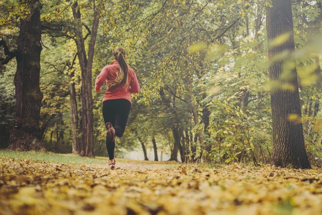 low angle of the back of a Woman jogging in park with autumn leaves on the ground